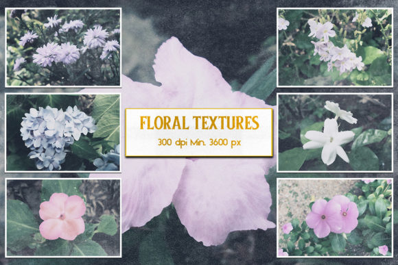 Download Floral Textures - Floral textures Collection